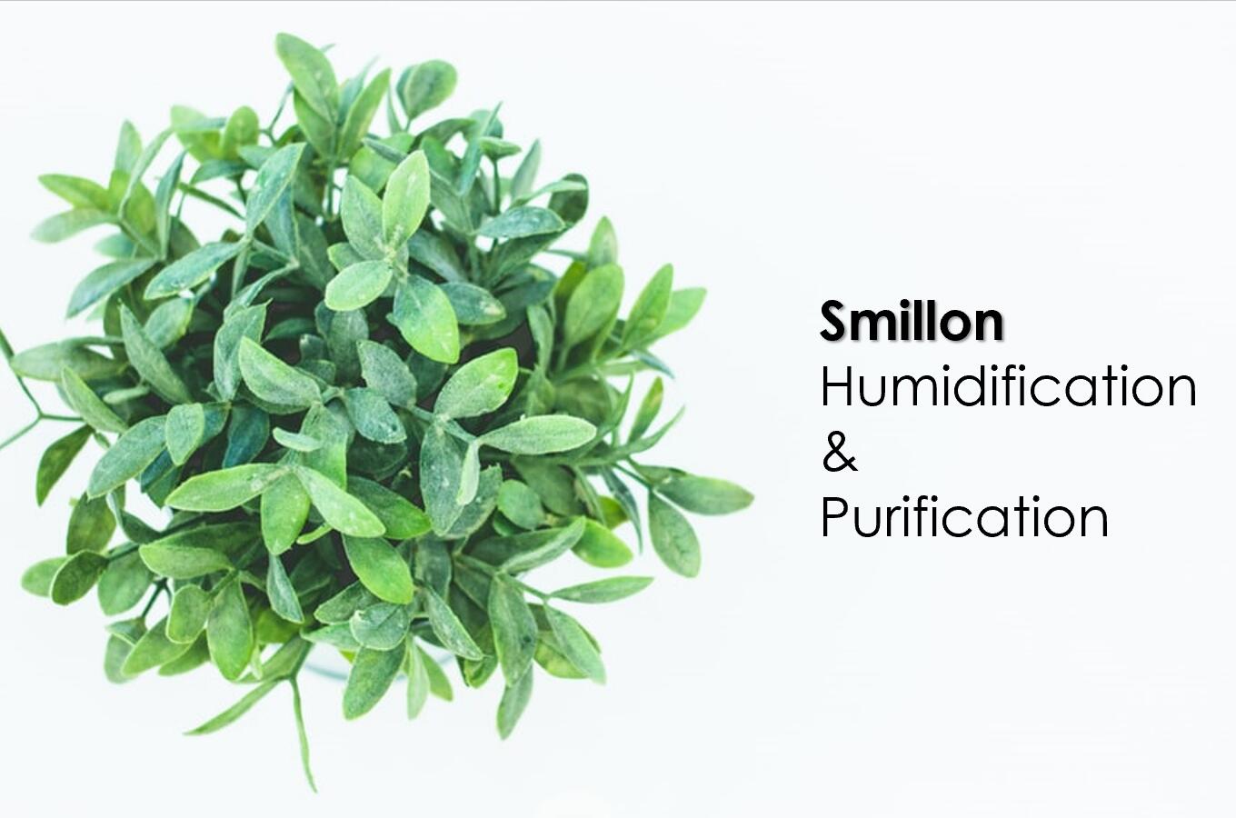 Humidification & Purification.jpg