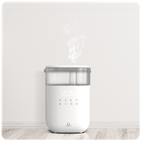 Humidifier for Winter