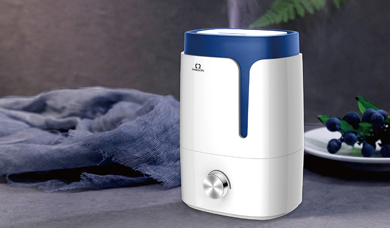 Healthiest Type of Humidifier