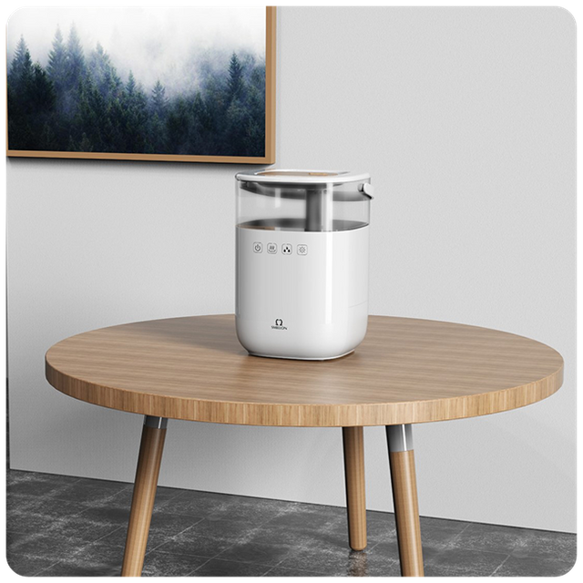Warm Air Humidifier
