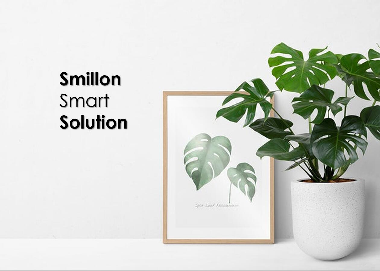 Smart Solution.jpg