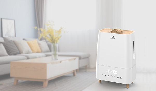 2 in 1 Warm & Cool Mist Humidifier.jpg