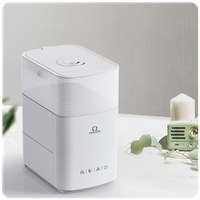 Cool Mist Humidifier