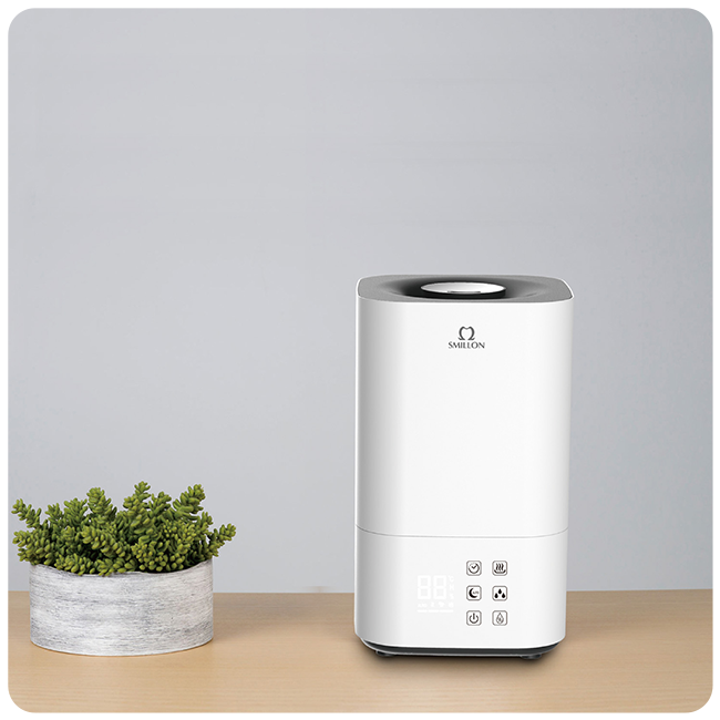 Homasy Humidifier.png