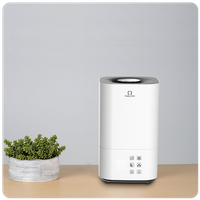 Warm and Cool Mist Humidifier