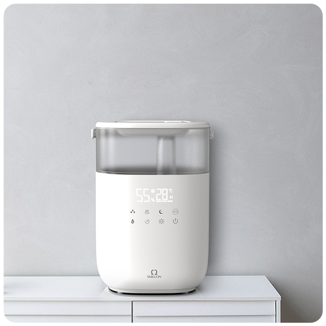 Humidifier During Winter.png