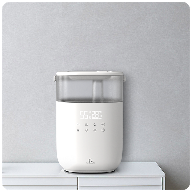 Humidifier for Winter