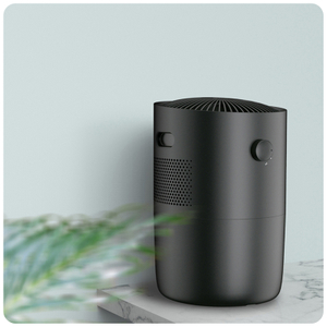 air purifiers ion