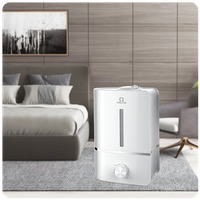 Air Humidifier