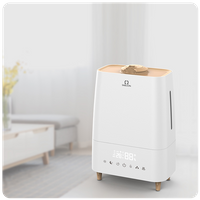 2 in 1 Warm & Cool Mist Humidifier