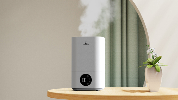Ozone Humidifier.jpg