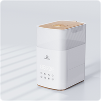 Hybrid Humidifier