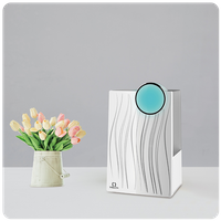Room Humidifier