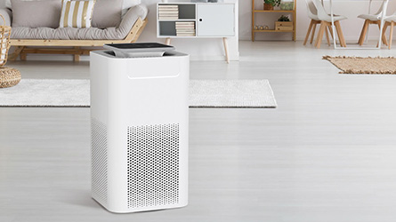 The Impact of Air Purifiers on Sleep Quality