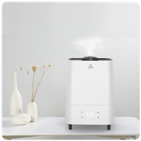 2 in 1 Purified Humidifier