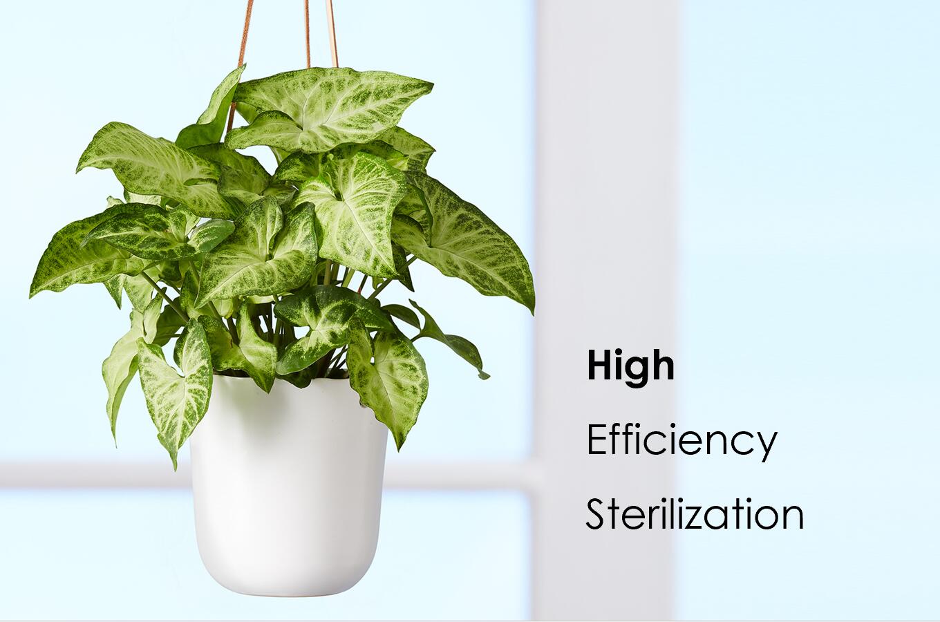 High Efficiency Sterilization.jpg