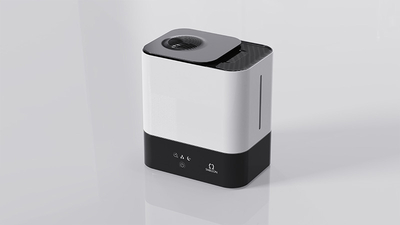 warm steam humidifier.jpg