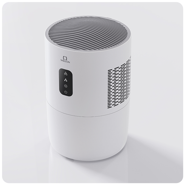 air purifier for basement