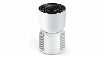 air purifier.webp