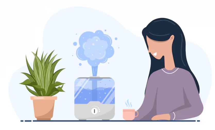 how to disinfect and clean a humidifier