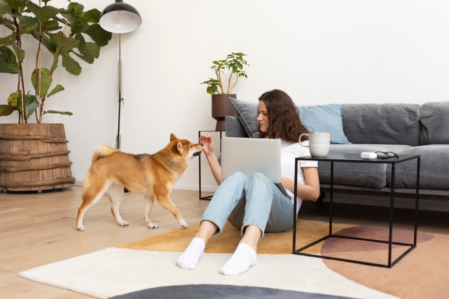 best air purifier for pets.jpg